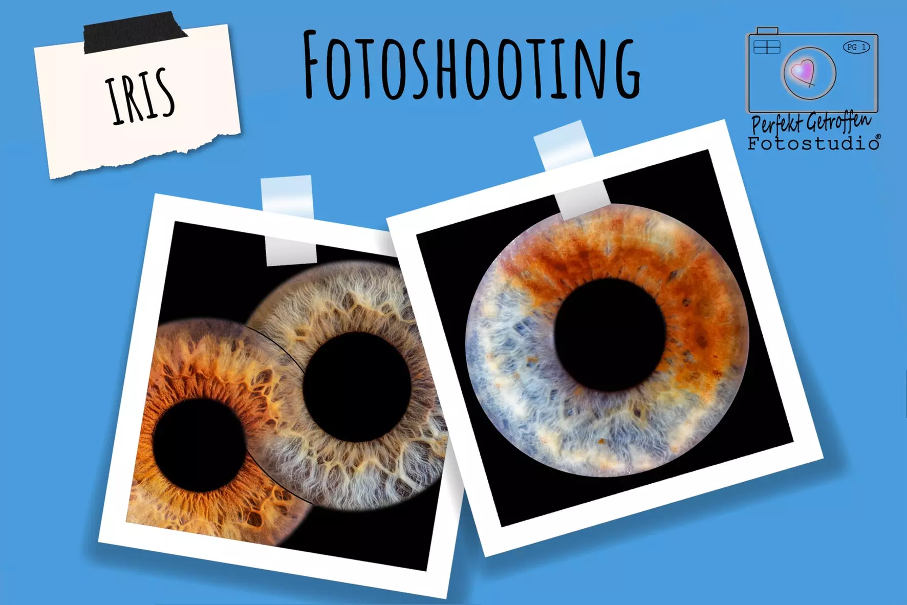 Iris-Fotoshooting für 1 - 3 Iriden ohne Effekt inkl. Bild als Datei