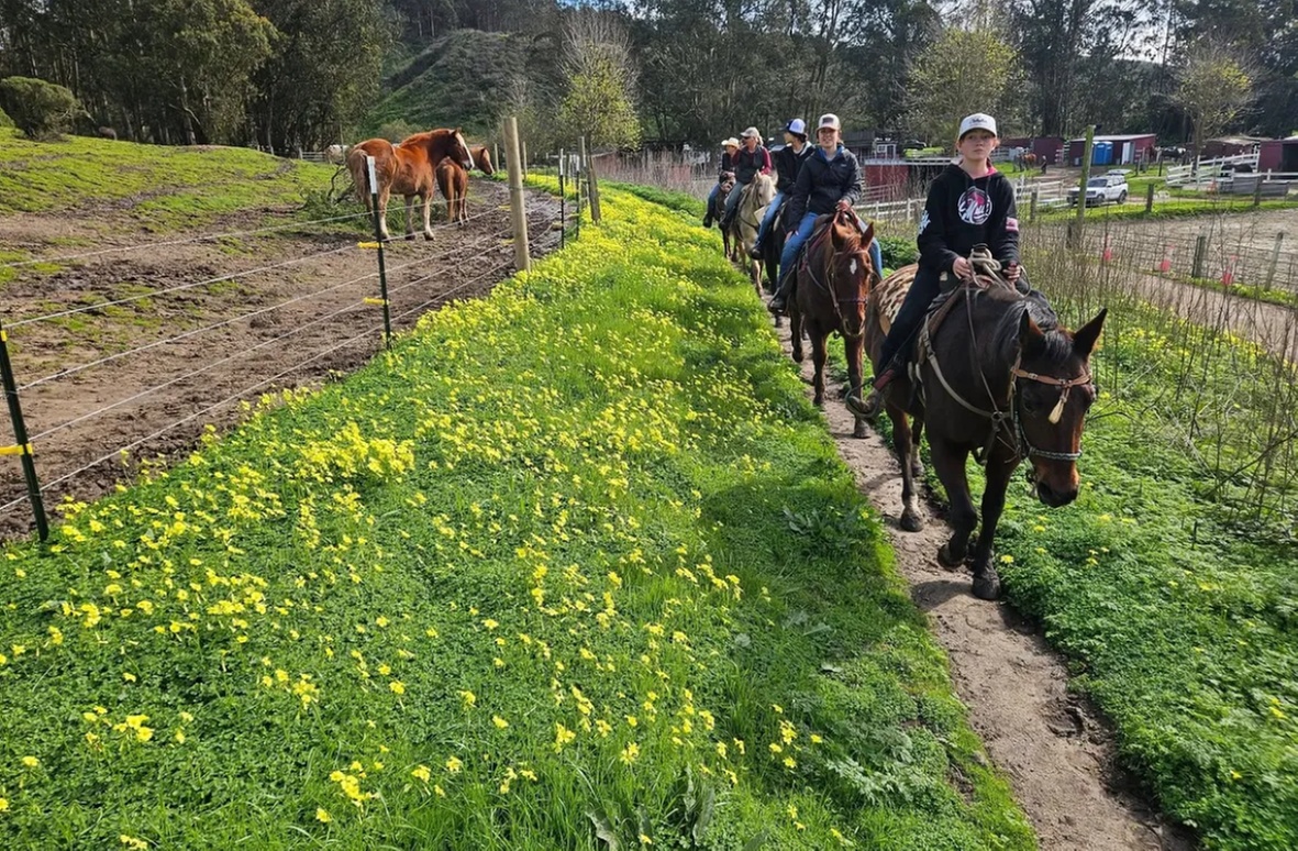 Horse Back Riding Lessons for 1-4 People w/ Experts in Moss Beach, CA