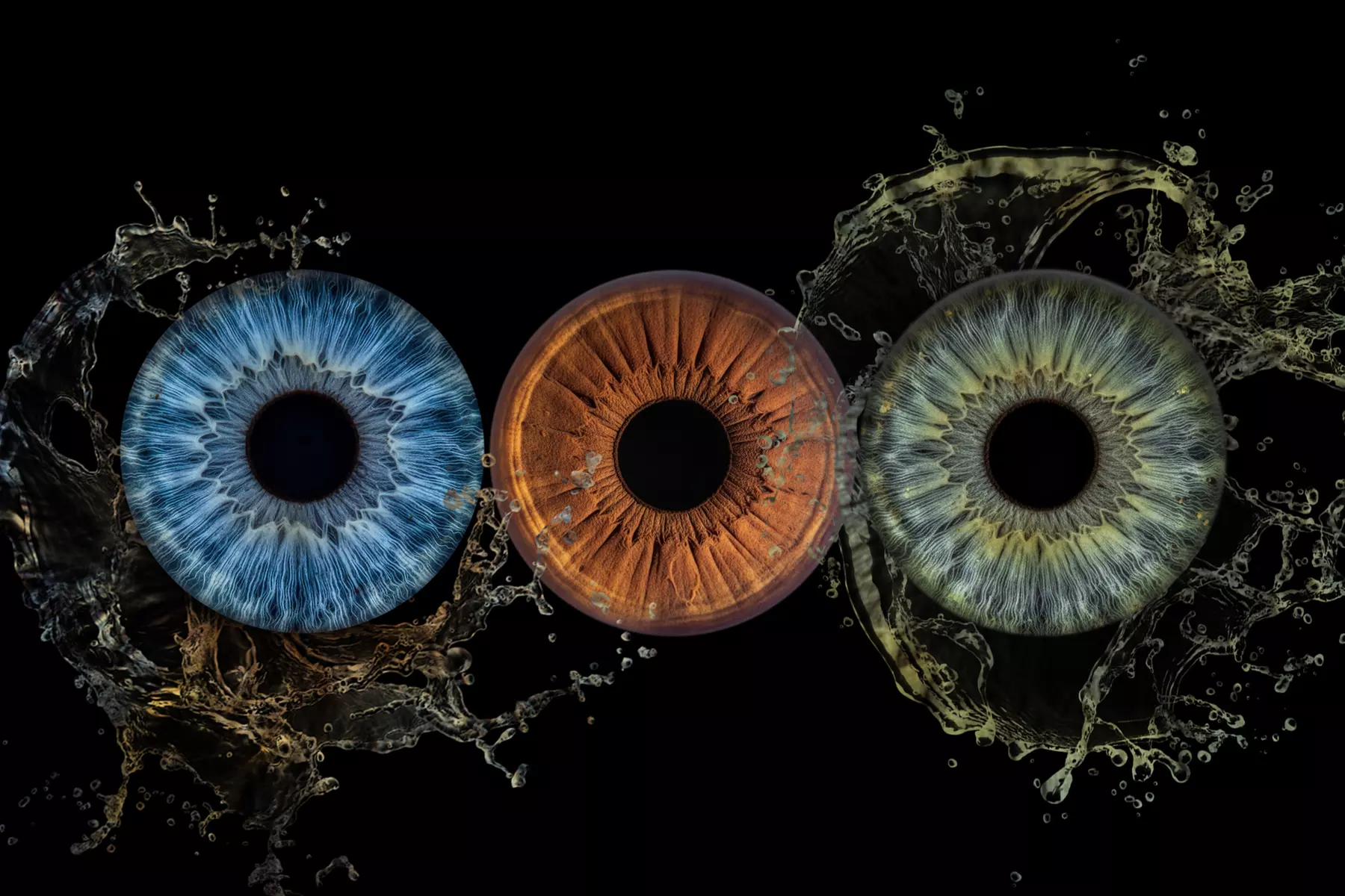 Iris-Fotoshooting für 1 - 3 Iriden ohne Effekt inkl. Bild als Datei