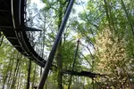 Admission to Atlanta Botanical Garden – Midtown Urban Oasis