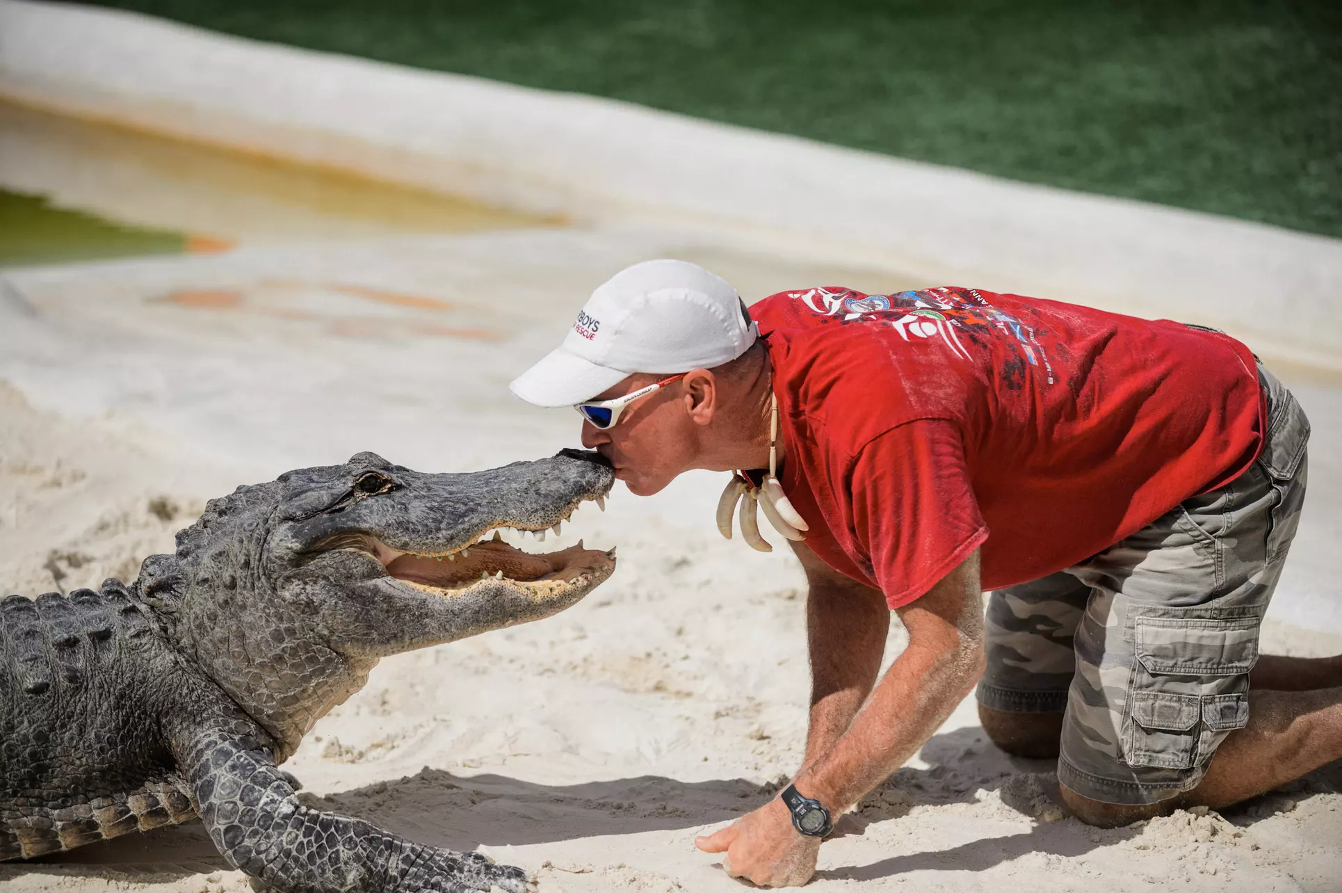 Experience Wide Angle Tours' Everglades adventure for one or two, with up to 20% off. A thrilling airboat tour awaits!