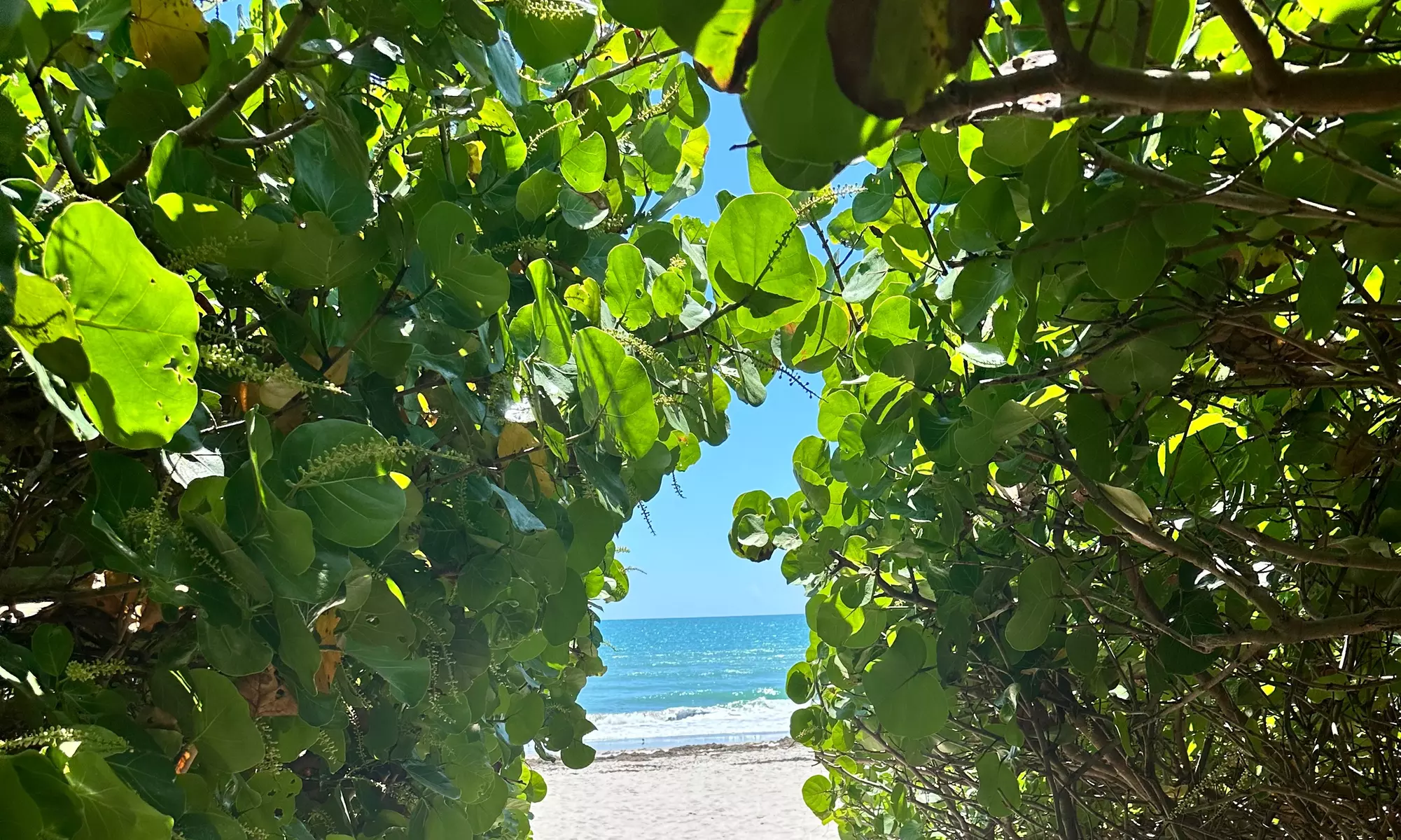 Up to 50% Off on Guided Tour at Space Coast Fish