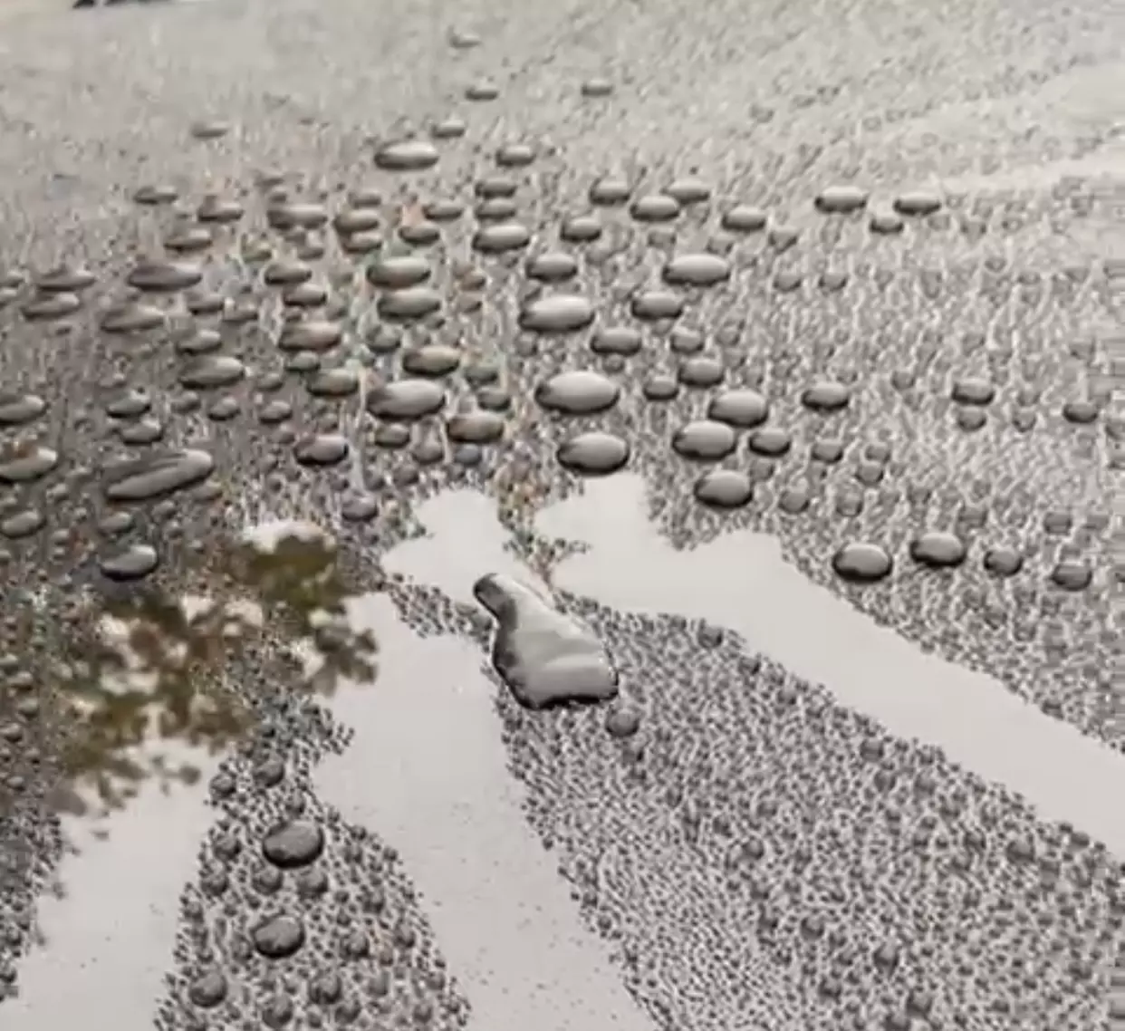 Professionelle Autopflege (innen und außen) bei EVVG Mobility