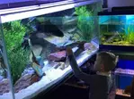 Entrée pour la Maison de la Pêche et de la Nature de Levallois