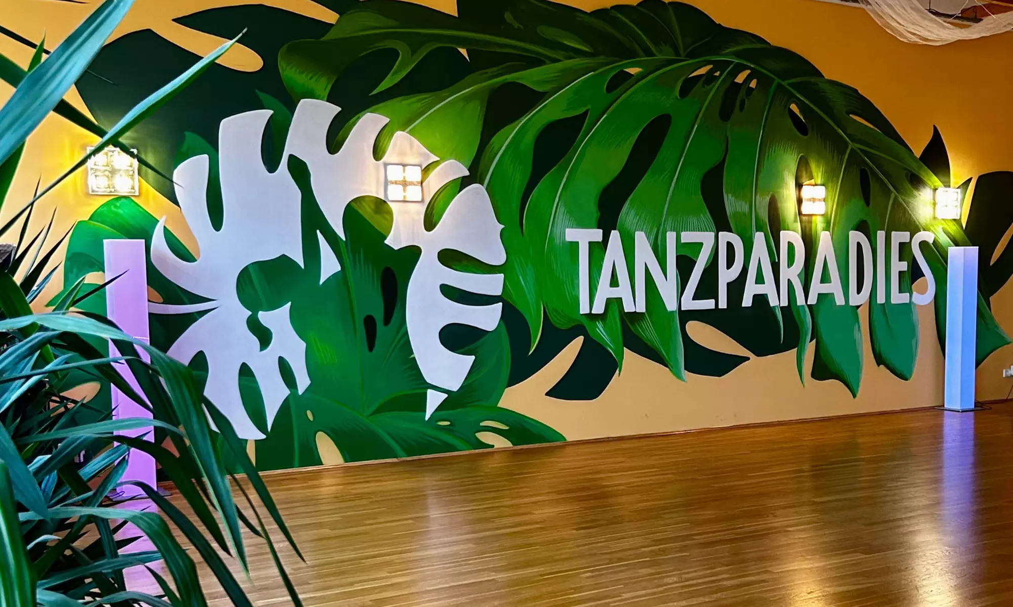 Anfängerkurs für Latein- und Standardtanz