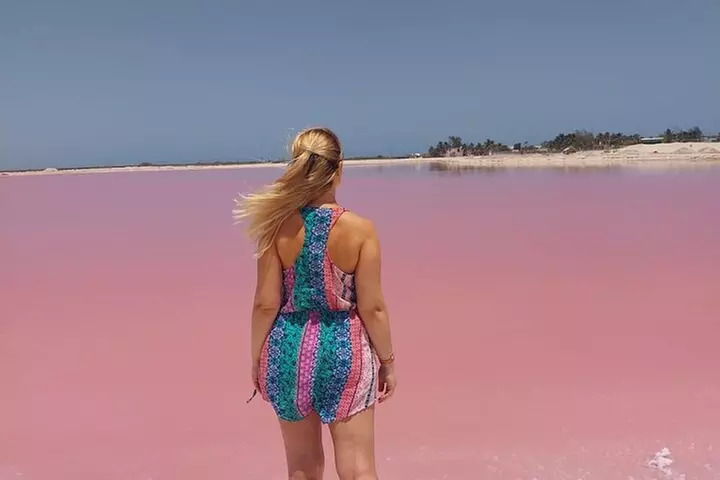 Rio Lagartos and Las Coloradas Day Tour from Cancun