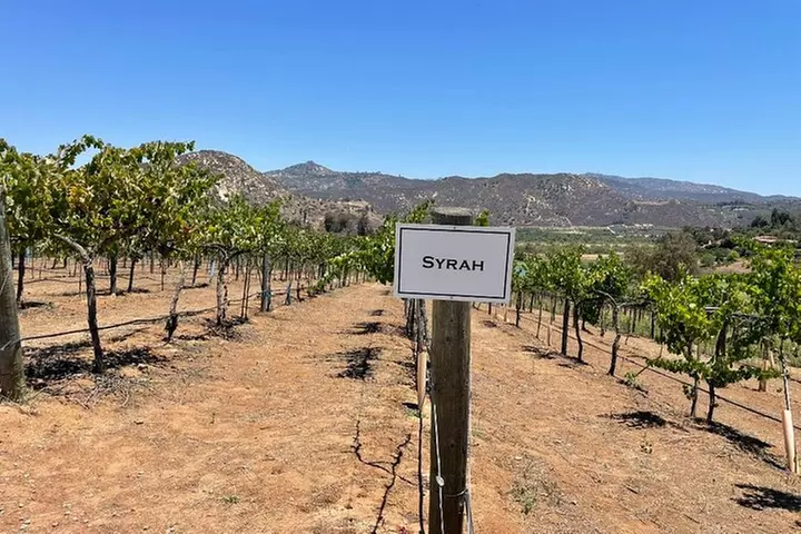 San Diego County Wine Tour (Private)
