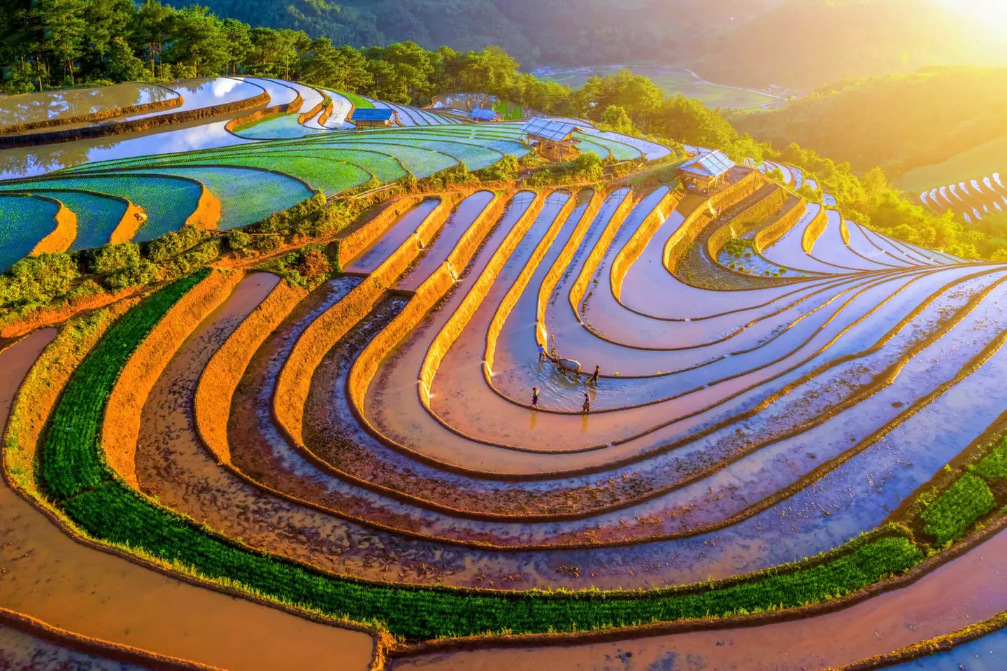 ✈ PHILIPPINEN | Manila - Juwelen der Philippinien in 3* und 4* Hote...