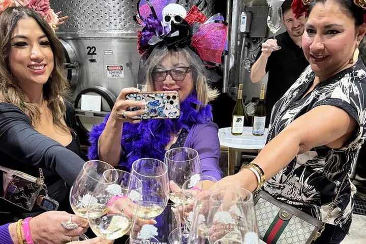 2 to 5 Guests Fredericksburg Private Mercedes SUV Wine Tour