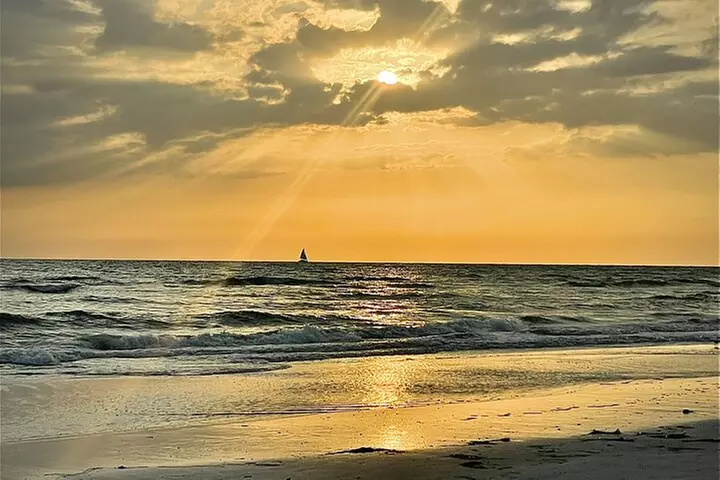 Kayak Adventure at Shell Key Preserve in Tierra Verde