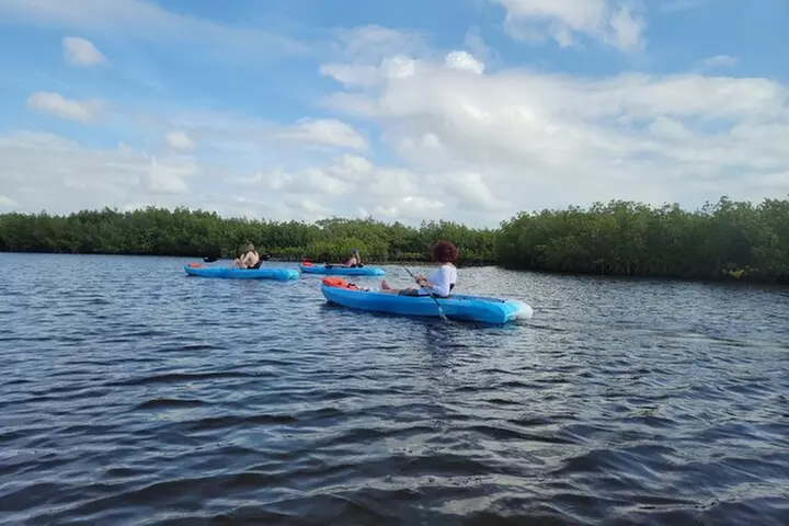 New Smyrna Dolphin and Manatee Kayak and SUP Adventure Tour