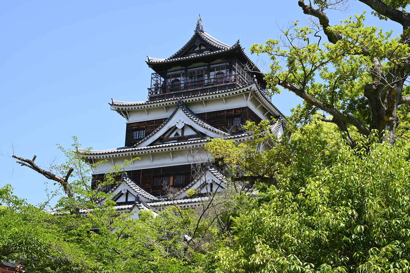 ✈ GIAPPONE | Da Osaka a Tokyo - L'odissea giapponese: grande viaggi...