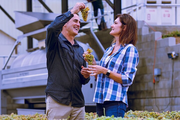 Temecula Valley Wine Tour with Tastings & Lunch Included