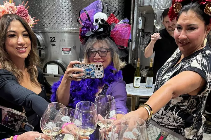 2 to 5 Guests Fredericksburg Private Mercedes SUV Wine Tour