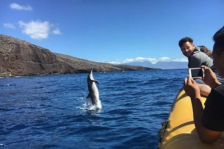 Lanai Deluxe Dolphin Adventure & 3 Snorkel Sites