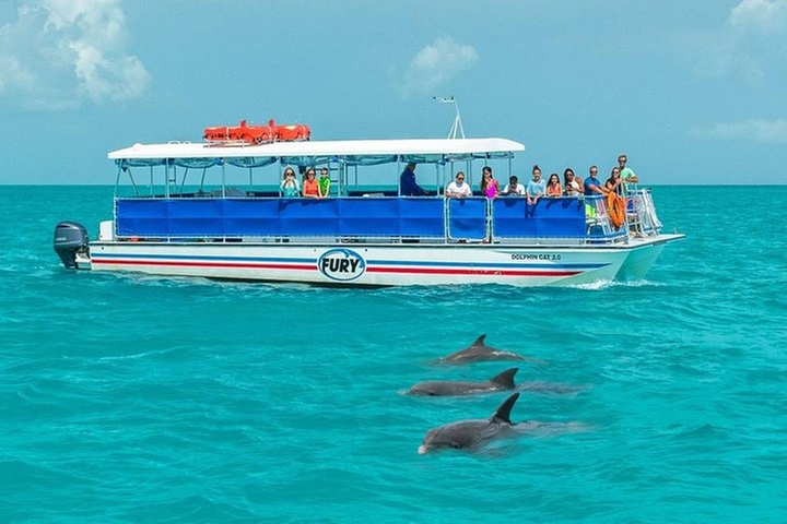 Key West Dolphin Watch and Snorkel Tour - Eco Adventure