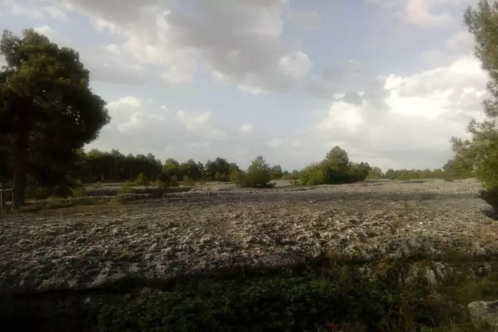 Visita guiada en la Ciudad Encantada