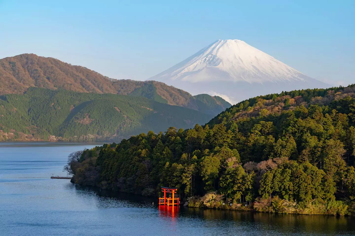 ✈ GIAPPONE | Da Osaka a Tokyo - L'odissea giapponese: grande viaggi...