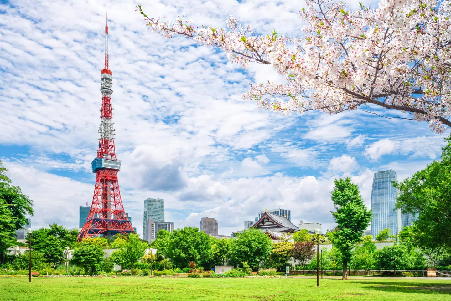 ✈ JAPAN | Von Osaka nach Tokio - Rundreise Kyoto - Hakone - Tokio 4...