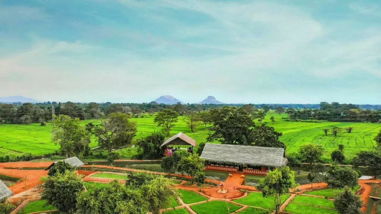 ✈ SRI LANKA | Da Colombo a Colombo - Nel cuore del benessere in Sri...