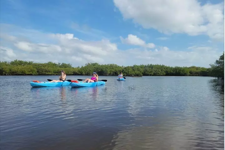 Kayak Rentals