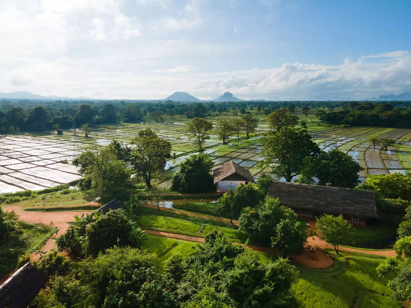 ✈ SRI LANKA | Da Colombo a Colombo - Nel cuore del benessere in Sri...