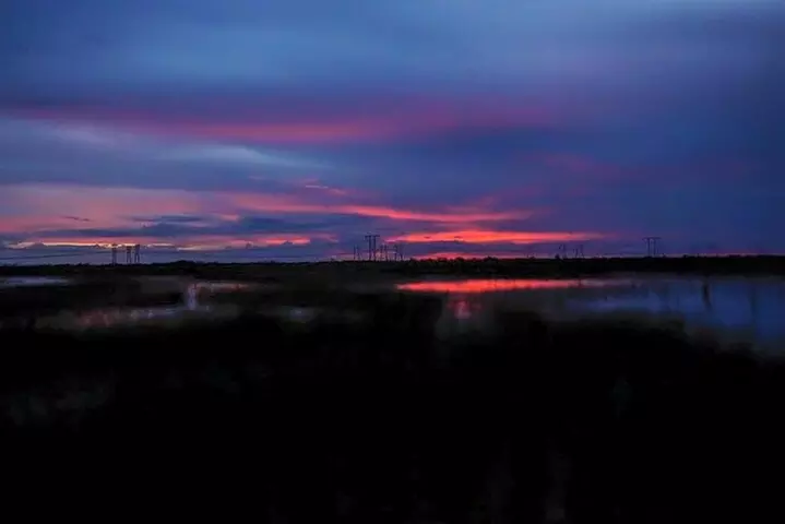 From Miami: Everglades at Night with Airboat and Alligators Tour