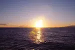Honolulu: Pacific Star Sunset Dinner Cruise and Show