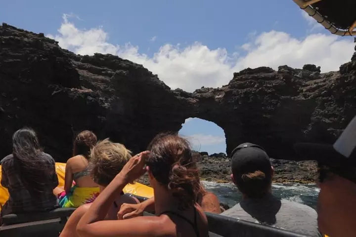 Lanai Deluxe Dolphin Adventure & 3 Snorkel Sites