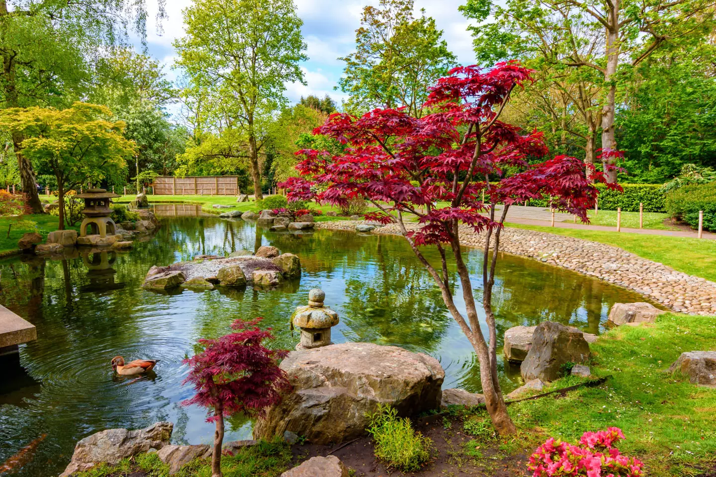 ✈ JAPAN | Von Osaka nach Tokio - Rundreise Kyoto - Hakone - Tokio 4...