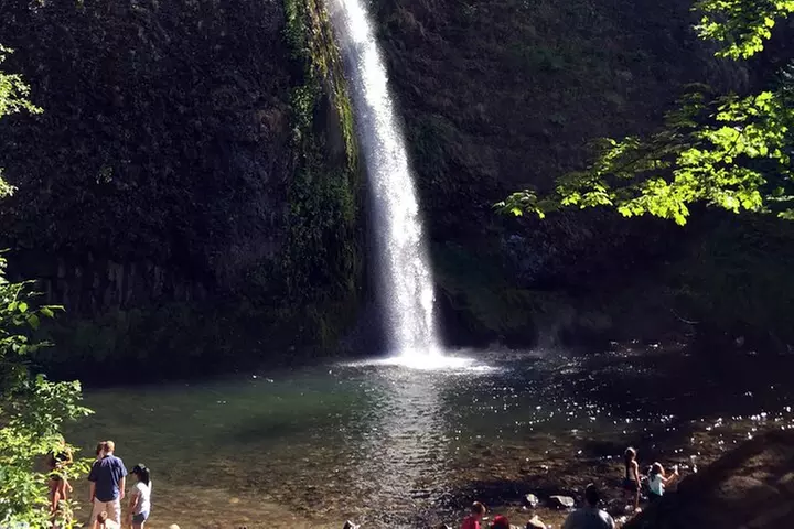 Afternoon Tour in Columbia Gorge Waterfall with Free Wine Tasting