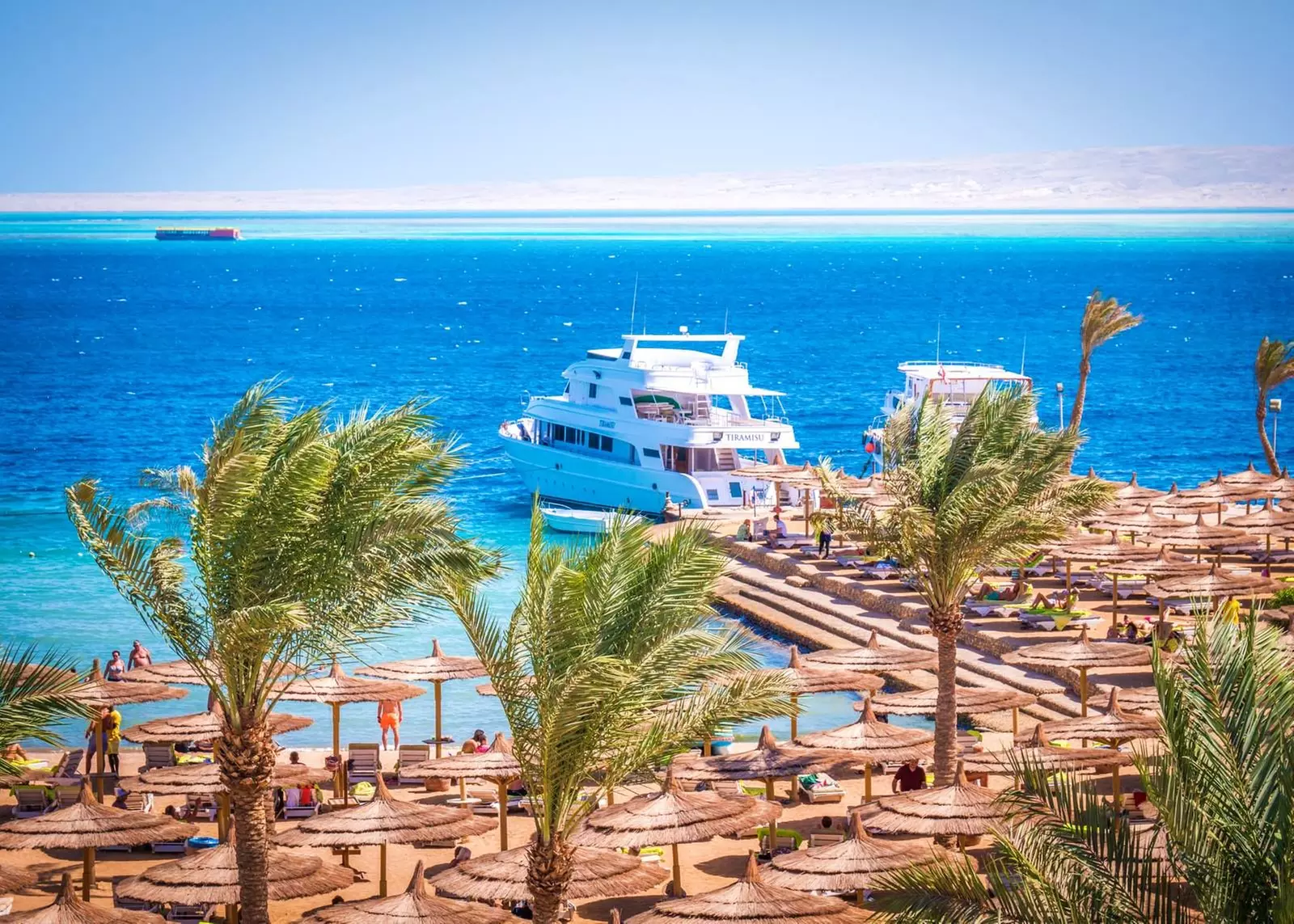 ✈ EGITTO | Hurghada - Sea Gull Beach Resort 4*, 7 notti - All inclu...