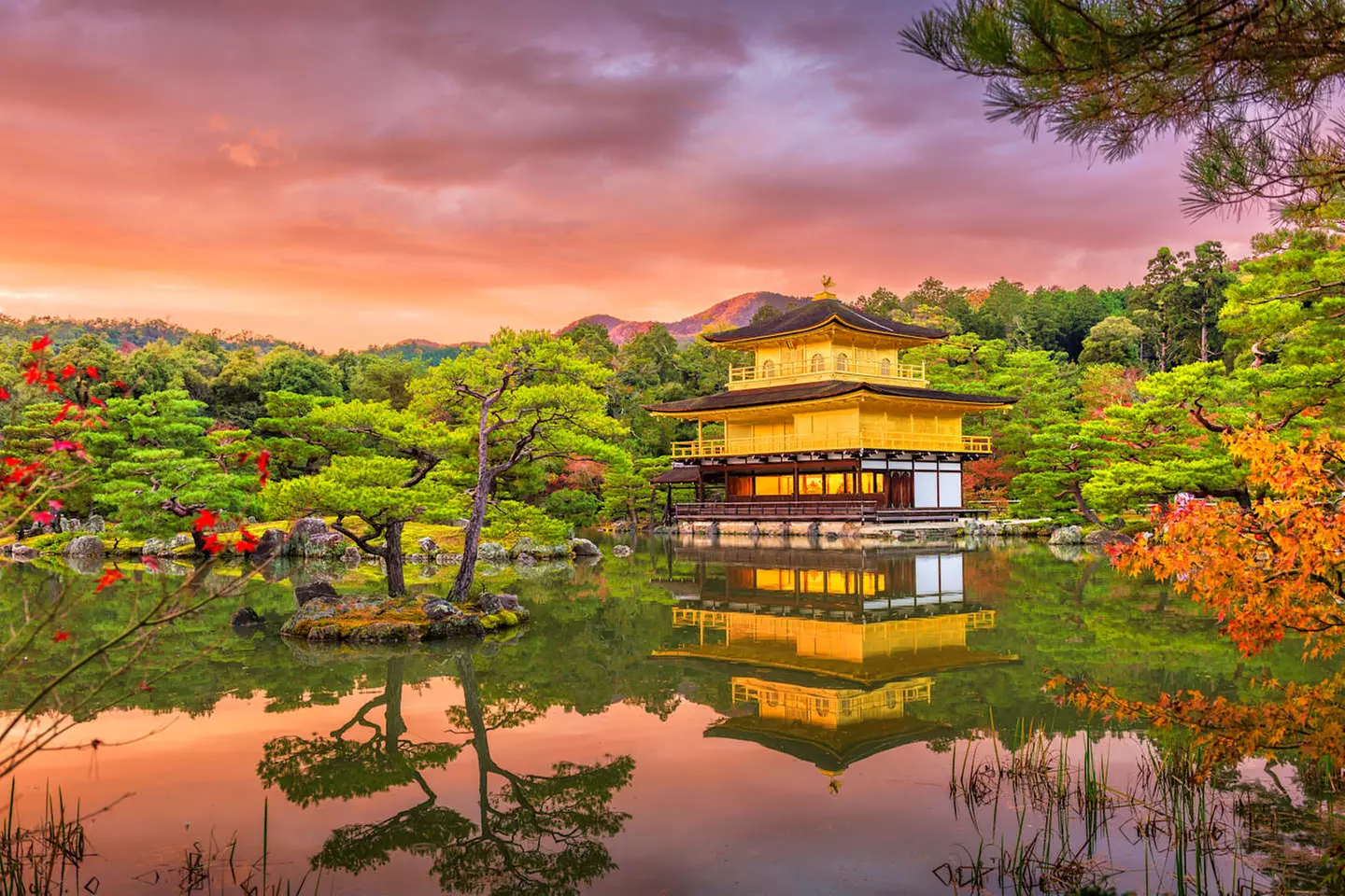 ✈ GIAPPONE | Da Tokyo a Osaka - Tour combinato Tokyo - Kyoto 5*, 10...