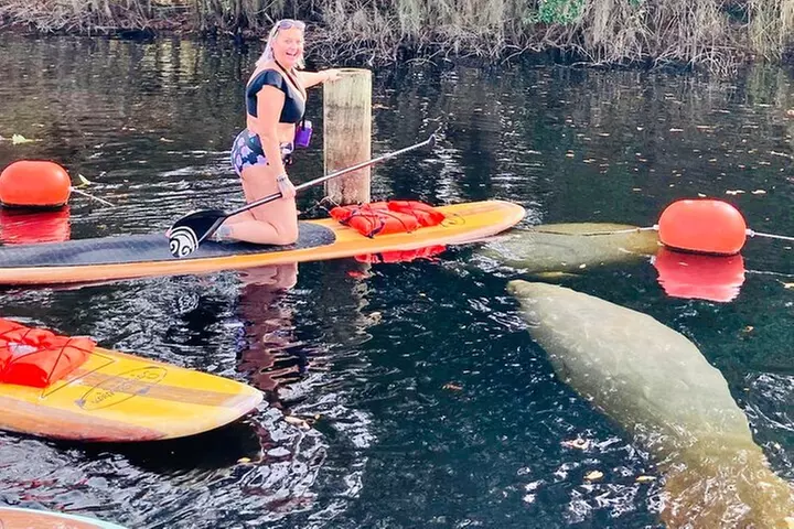 Orlando Manatee and Natural Spring Adventure Tour at Blue Springs
