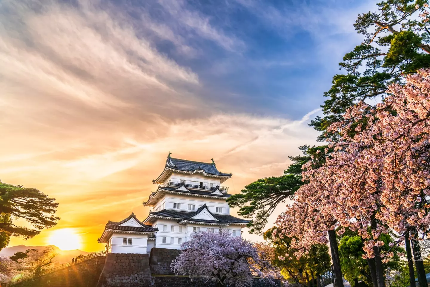 ✈ JAPAN | Von Osaka nach Tokio - Rundreise Kyoto - Hakone - Tokio 4...