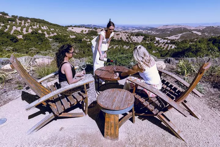 3-Winery Paso Robles Tour with Picnic Lunch from Paso Robles