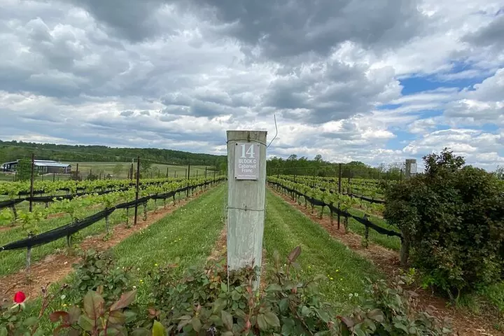 Virginia Wineries Tour