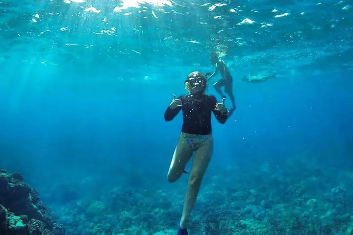 Lanai Deluxe Dolphin Adventure & 3 Snorkel Sites