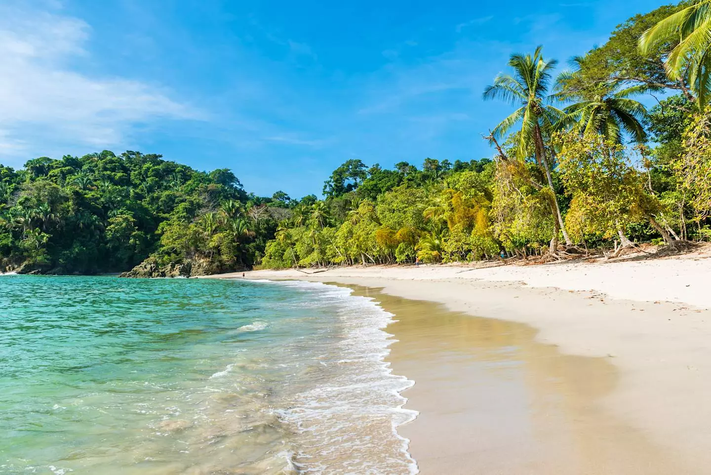 ✈ COSTA RICA | San José - Inmitten der Natur: Dschungel, Strände un...