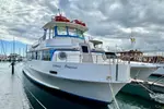 2-Hour Oahu Whale Watch from Ala Wai Harbor, Waikiki