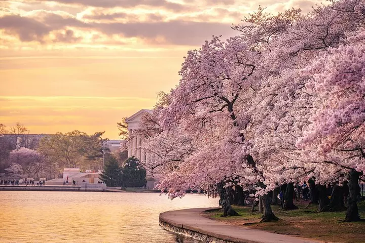 Top Tidal Basin Explorer of Thomas Jefferson FDR & MLK Memorials
