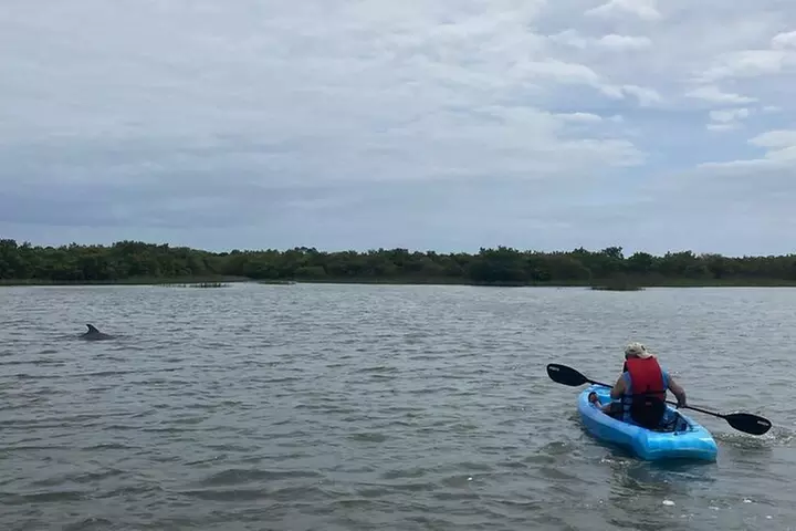 Kayak Rentals