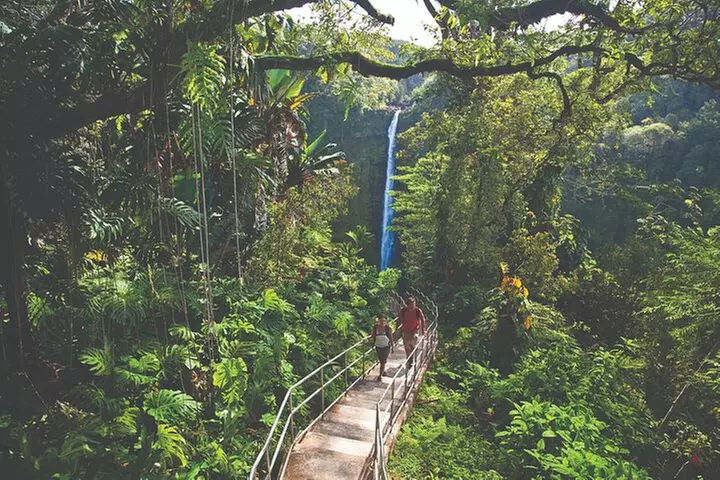 Volcano Adventure: Hilo Sightseeing w/ Optional Helicopter Tour