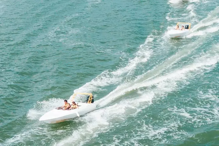 Jungle Tour . Lagoon, Mangrooves & Snorkel for Couples