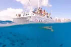 Waikiki 2 Hour Sunset Sailing Catamaran Swim and Sail Adventure