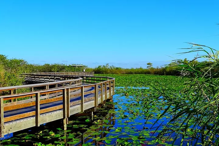US East National Parks: Driving & Walking Audio Tour Bundle