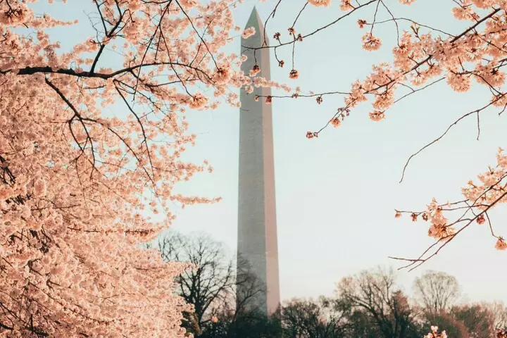 Top Tidal Basin Explorer of Thomas Jefferson FDR & MLK Memorials