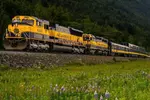 Alaska Railroad Anchorage to Seward Round Trip Same Day Return