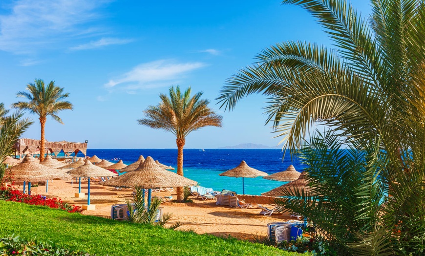 Sharm El Sheikh Monte Carlo Resort Sharm El Sheikh Sharm El