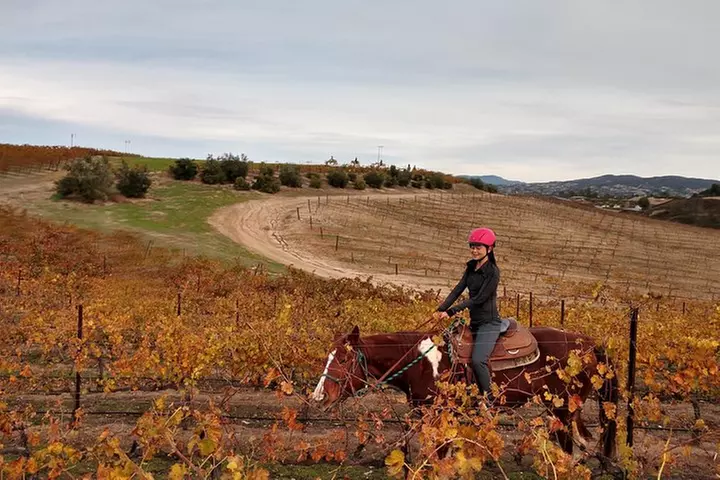 Temecula Valley Wineries and Vineyards Drink and Taste Tour From Or...